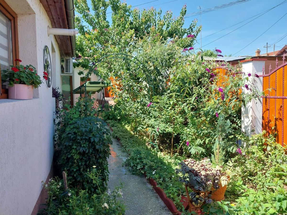 Casa Calin Villa Tulcea Bagian luar foto