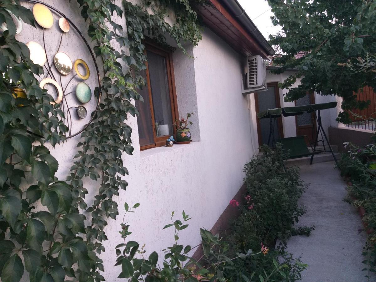 Casa Calin Villa Tulcea Bagian luar foto